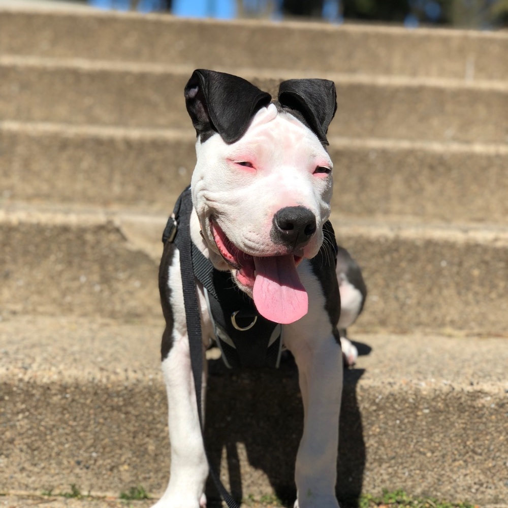 Meet your Posher, Uriel